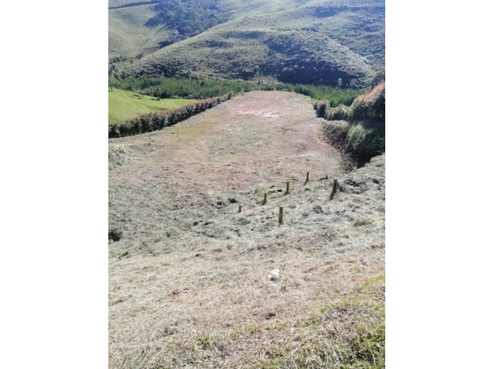 VENTA DE LOTE EN EL CARMEN DE VIBORAL - 1