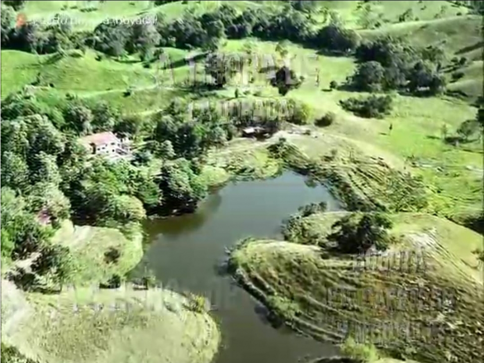 Venta de finca ganadera en Puerto Boyacá - 3