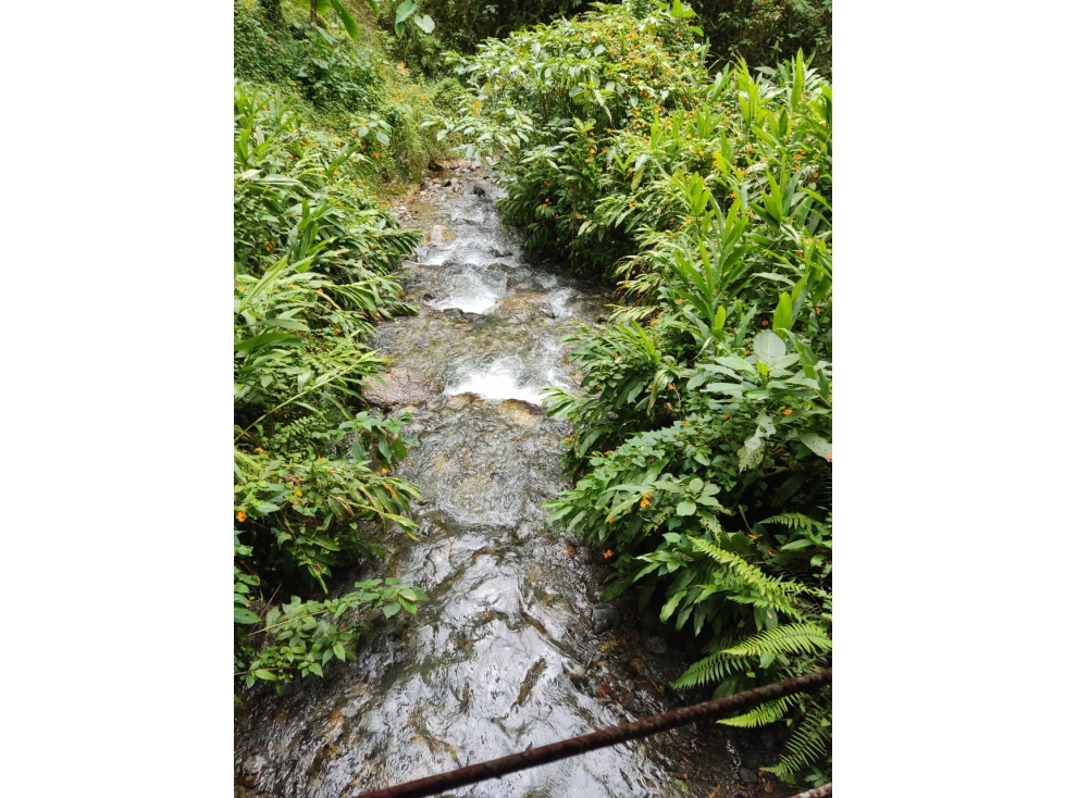 VENDO FINCA EN CALDAS CERCA A RESERVA NATURAL DE LA CLARA — foto 2