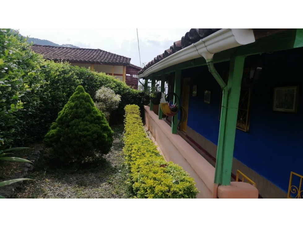 SE VENDE FINCA DE DESCANSO EN EL MUNICIPIO DE VENECIA — foto 3