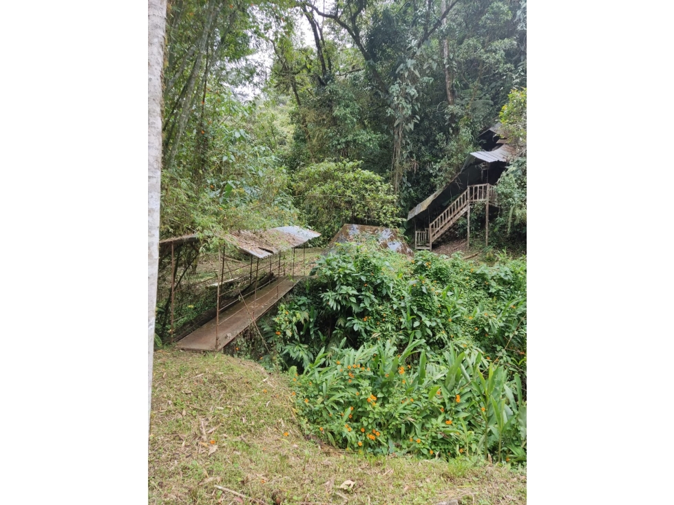 VENDO FINCA EN CALDAS CERCA A RESERVA NATURAL DE LA CLARA — foto 4