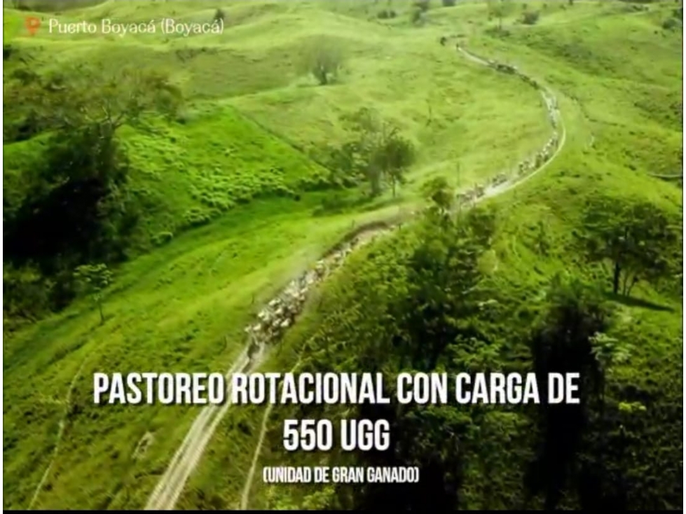 Venta de finca ganadera en Puerto Boyacá - 5