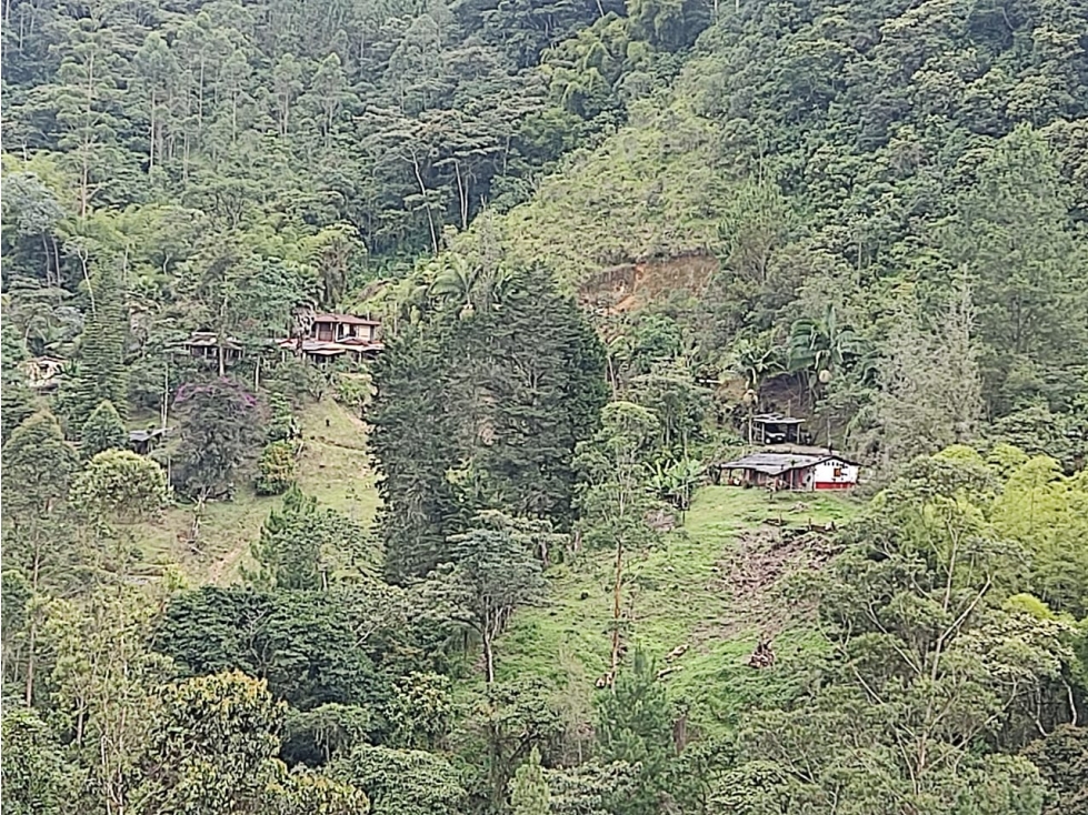 VENDO FINCA EN CALDAS CERCA A RESERVA NATURAL DE LA CLARA — foto 5