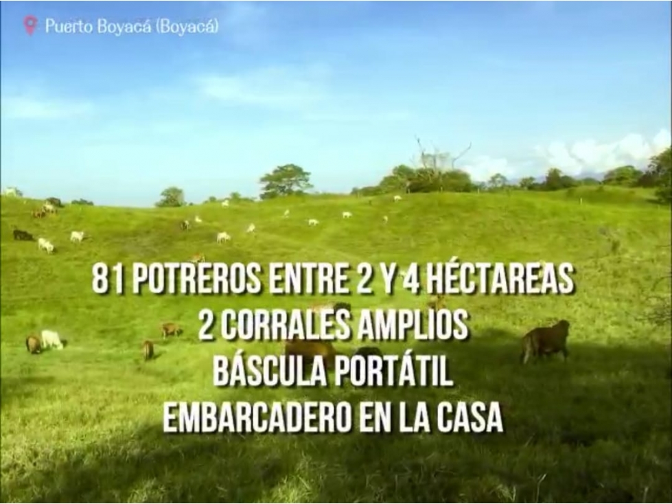Venta de finca ganadera en Puerto Boyacá - 6