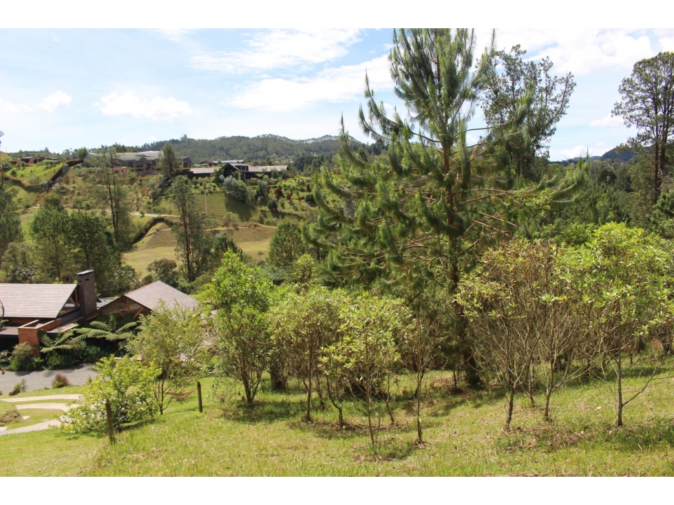 UN LOTE , INFINITAS POSIBILIDADES PARCELACION HORIZONTES 5.200M2