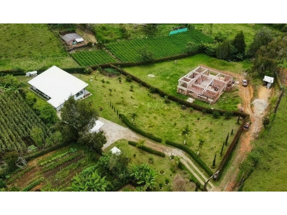 EXCLUSIVA FINCA CAMPESTRE EN CARMEN DE VIBORAL 3.200 M2 $1.500MILLONES — foto 2