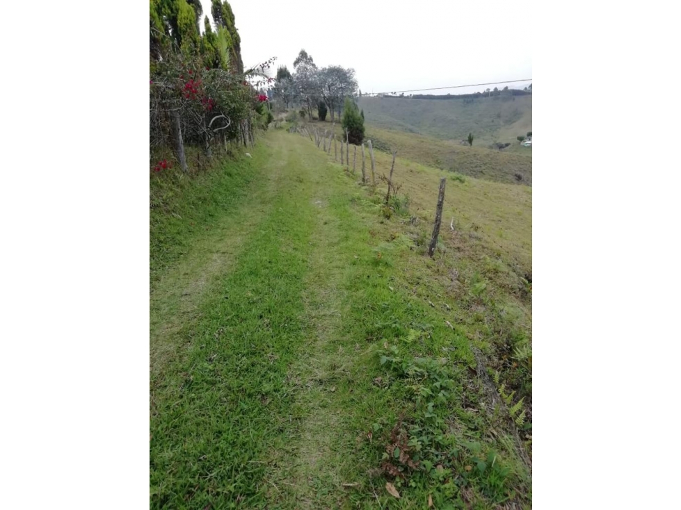 VENDO LOTE PARA PARCELAR EN VEREDA HOJAS ANCHAS DE GUARNE ANTIOQUIA — foto 2