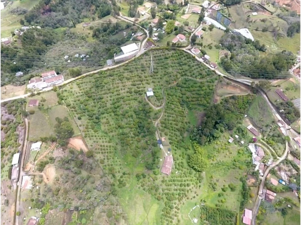 VENDO FINCA DE 62.700 m² PARA PARCELAR SAN VICENTE FERRER ANTIOQUIA - 2