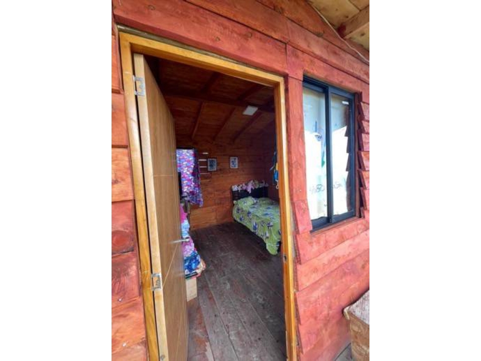 VENDO FINCA DE 39 HECTÁREAS EN AGUACATE HASS EN BELMIRA ANTIOQUIA - 2