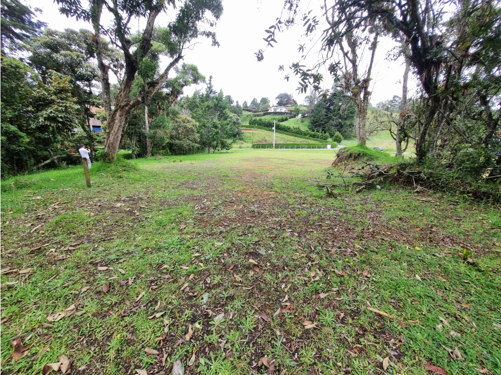 LOTE EN VENTA EN ALTO DE PALMAS VEREDA LA ESPERANZA — foto 2