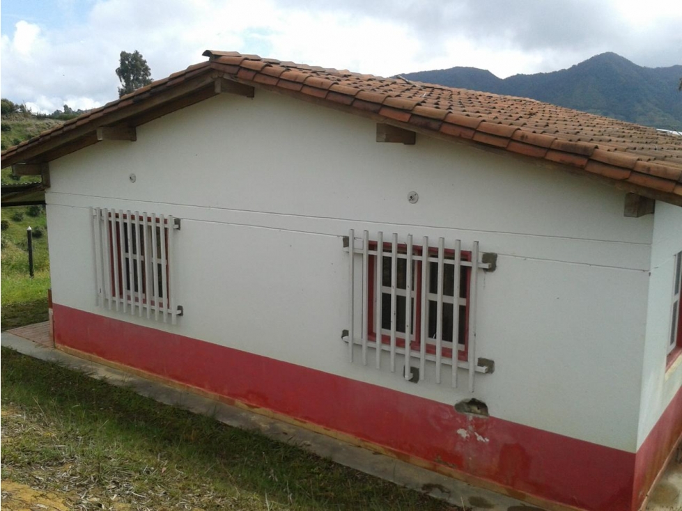 VENDO FINCA MARINILLA ANTIOQUIA 8HA SEMBRADOS DE AGUACATE — foto 2