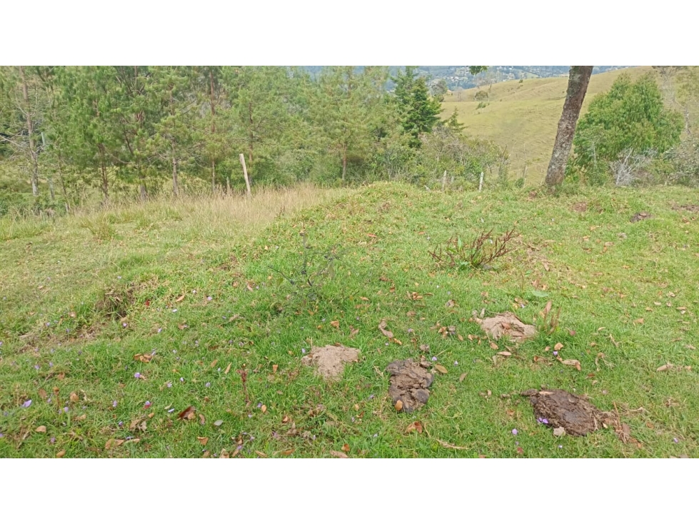 VENDO LOTE EN GUARNE VEREDA LA MEJIA — foto 2