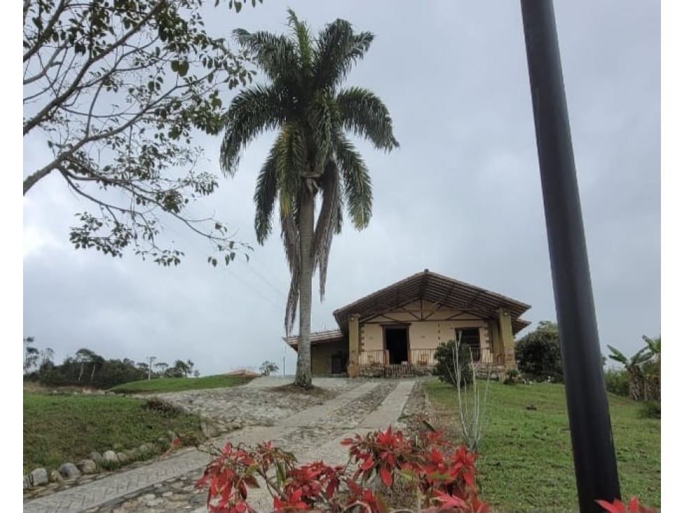 FINCA EN VENTA YOLOMBO ANTIOQUIA - 2