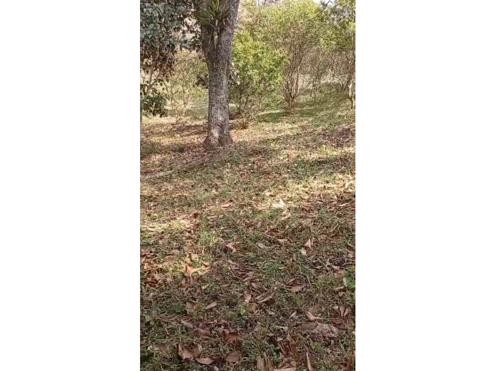 7 LOTES EN VENTA EN COPACABANA ANTIOQUIA — foto 2