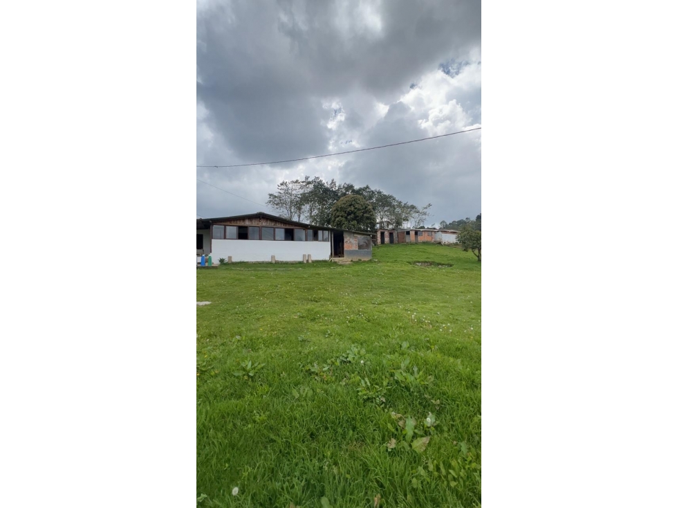 VENTA DE FINCA EN SANTA ELENA - ANTIOQUIA — foto 3