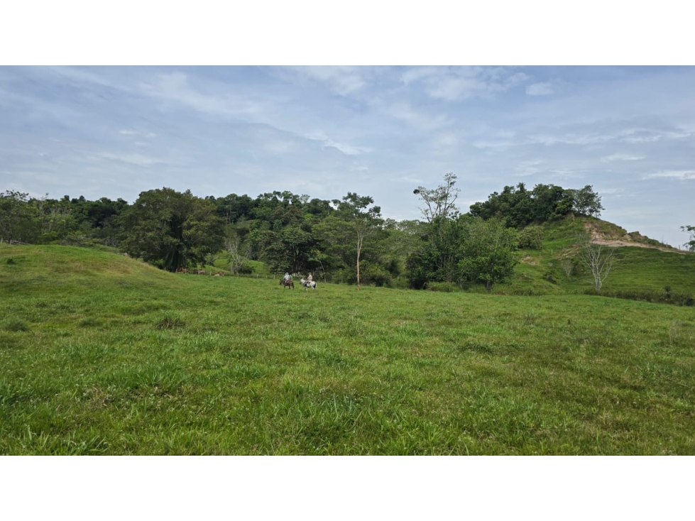 SE VENDE FINCA EN CIMITARRA - 2
