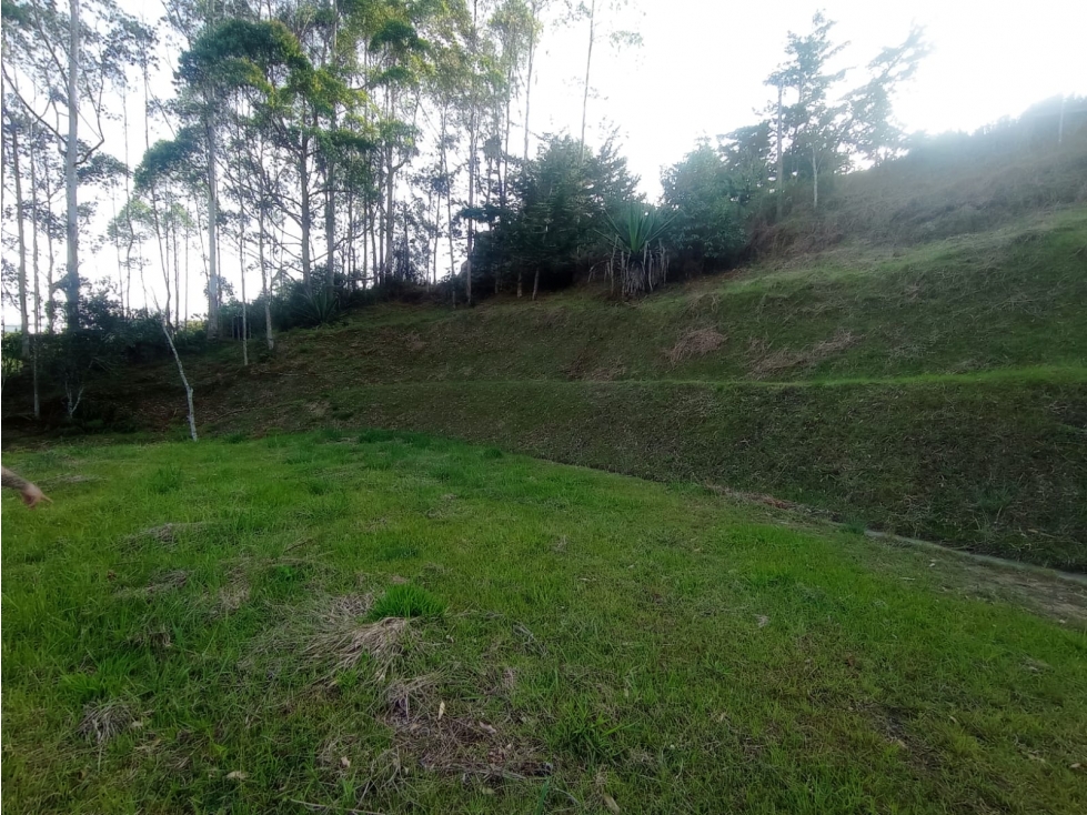 LOTE EN VENTA VEREDA ALTO DE LA COMPAÑÍA, SAN VICENTE FERRER, ANT.