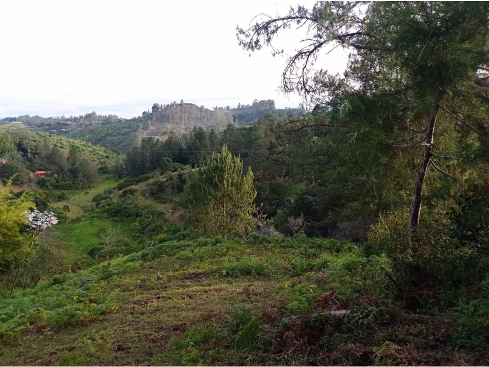 LOTE EN VENTA VEREDA ALTO DE LA COMPAÑÍA, SAN VICENTE FERRER. — foto 2