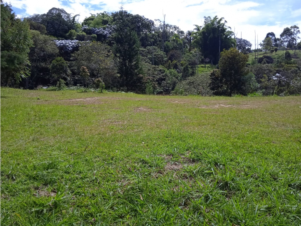 VENDO LOTE EN GUARNE — foto 2