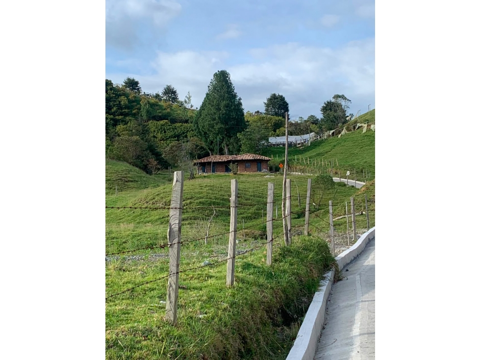 VENDO FINCA AGRÍCOLA DE 2 HECTÁREAS EN SONSÓN ANTIOQUIA - 2