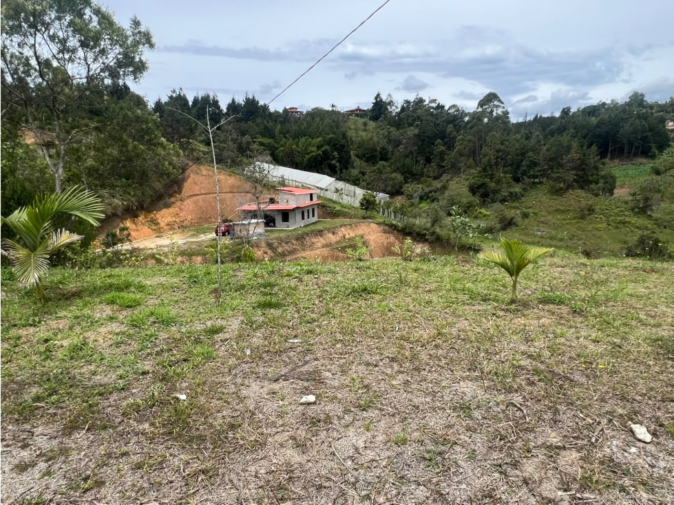 Vendo Lote Campestre de 2.000 m² en Rionegro Vereda La Playa — foto 2