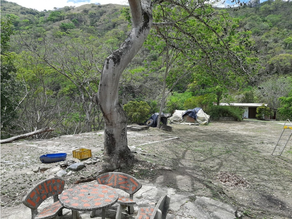 VENTA DE PREDIO EN SAN JERONIMO ANTIOQUIA - 1