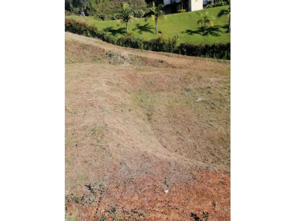 VENTA DE LOTE EN EL CARMEN DE VIBORAL - 2