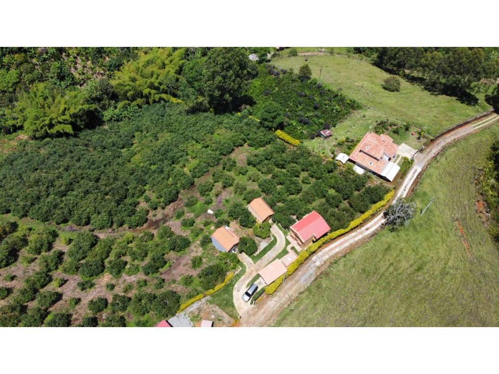 VENDO ENCANTADOR CENTRO TURISTICO Y AGRÍCOLA EN JERICÓ ANTIOQUIA - 1