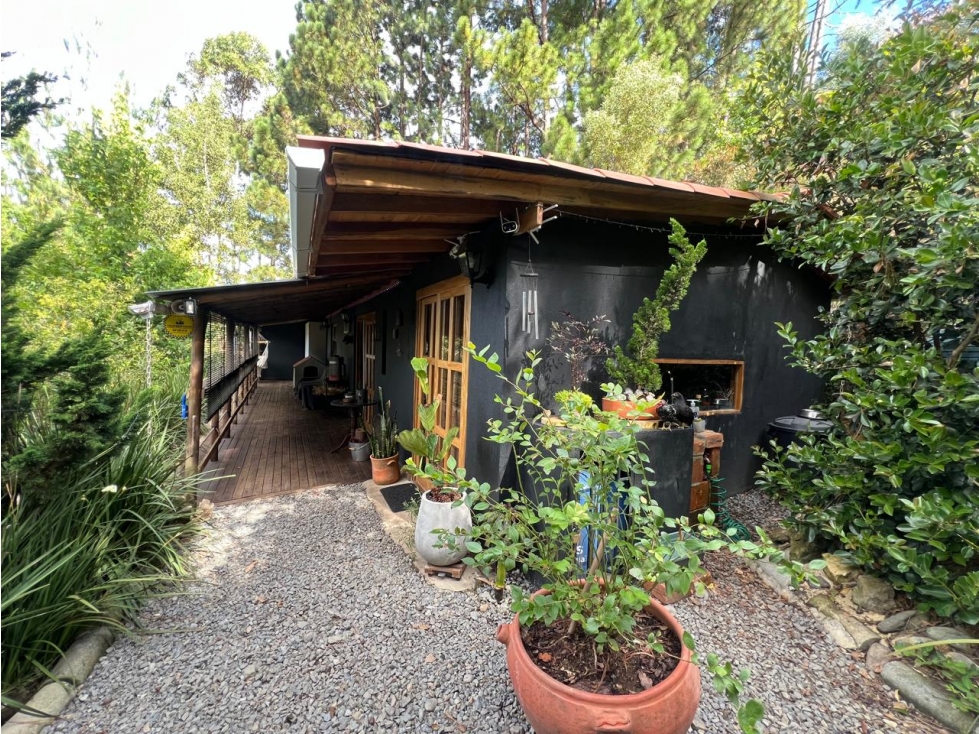 VENDO FINCA EN GUARNE VEREDA LA MOSQUITA — foto 2