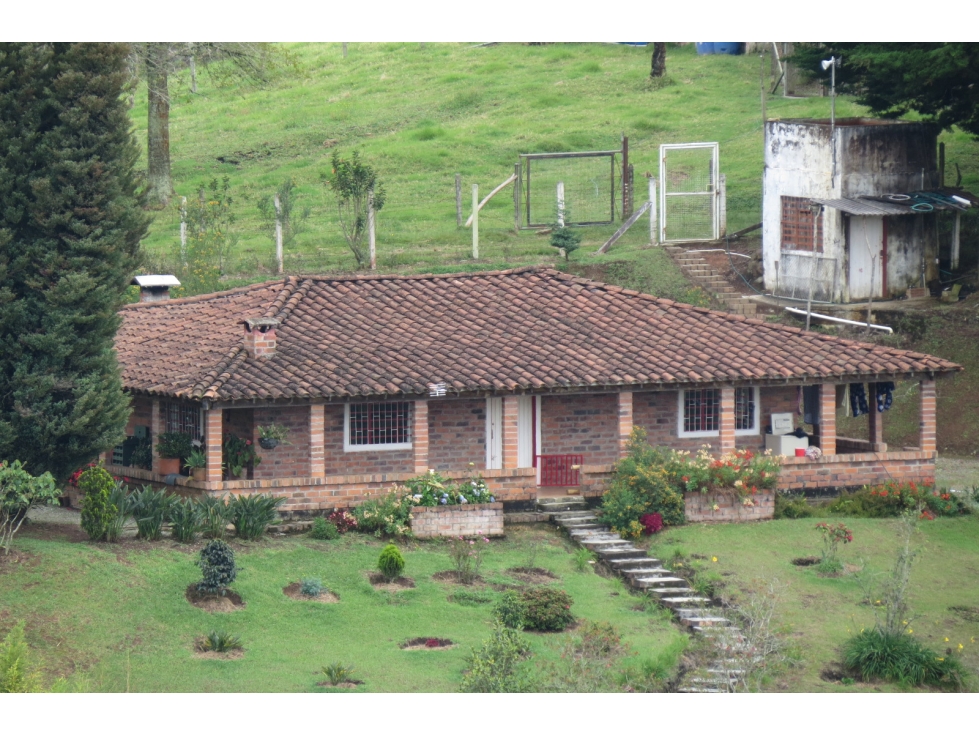 VENTA FINCA LOMA EL BARRO ENTRE GUARNE Y GIRARDOTA