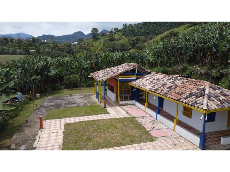FINCA EN VENTA PARA GANADERÍA EN JERICO ANT - 3