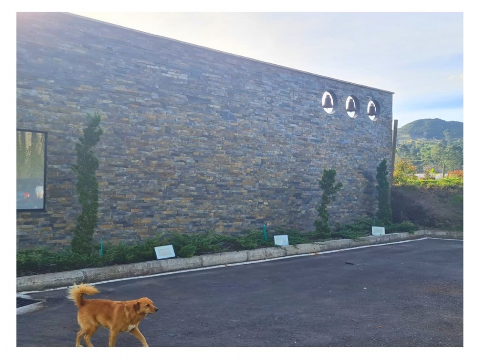 INVIERTE EN ESPECTACULAR LOTE UNIDAD CAMPANARIO, LA CEJA ANTIOQUIA. — foto 4