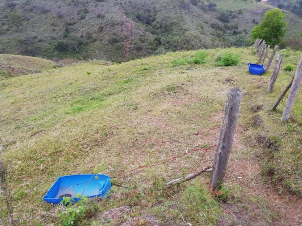 VENDO LOTE PARA PARCELAR EN VEREDA HOJAS ANCHAS DE GUARNE ANTIOQUIA — foto 3