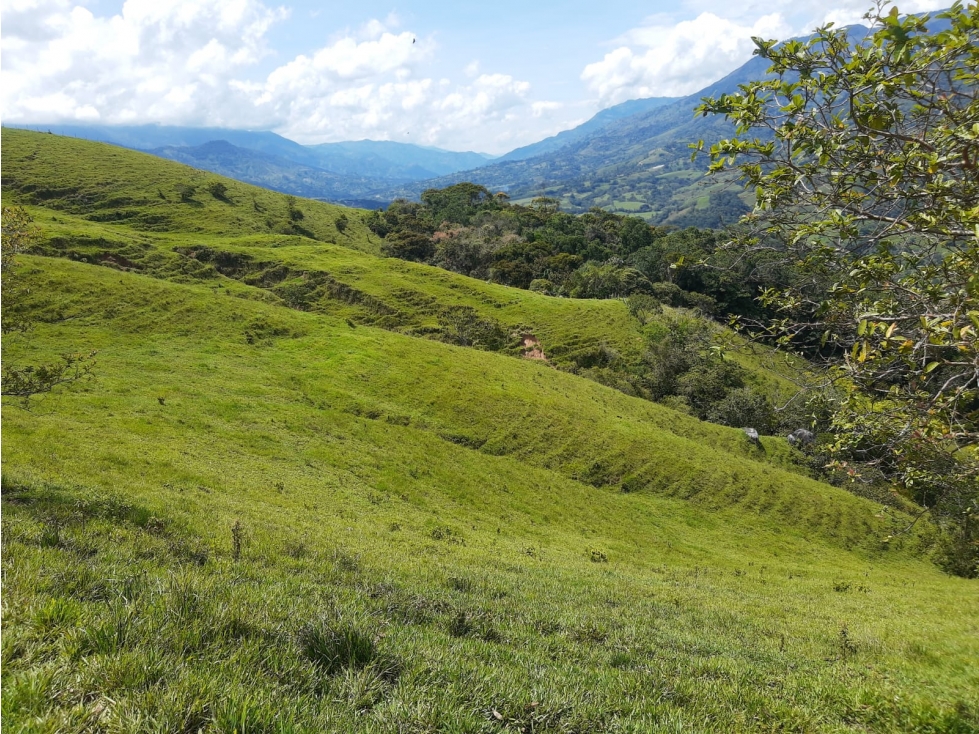 VENTA DE LOTE CON CASA EN BARBOSA. - 3