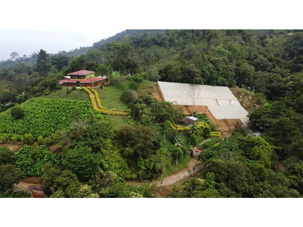 SE VENDE FINCA EN YOLOMBÓ - 1