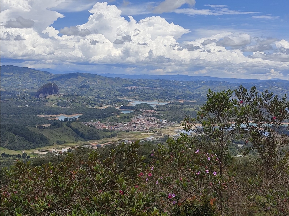 VENDO LOTE EN GUATAPE PARA PROYECTO HOTELERO O CASAS CAMPESTRES — foto 3