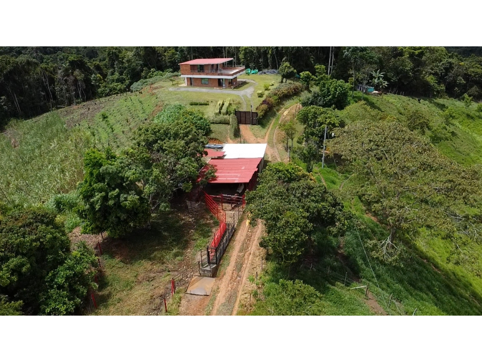 SE VENDE FINCA EN YOLOMBO - 2