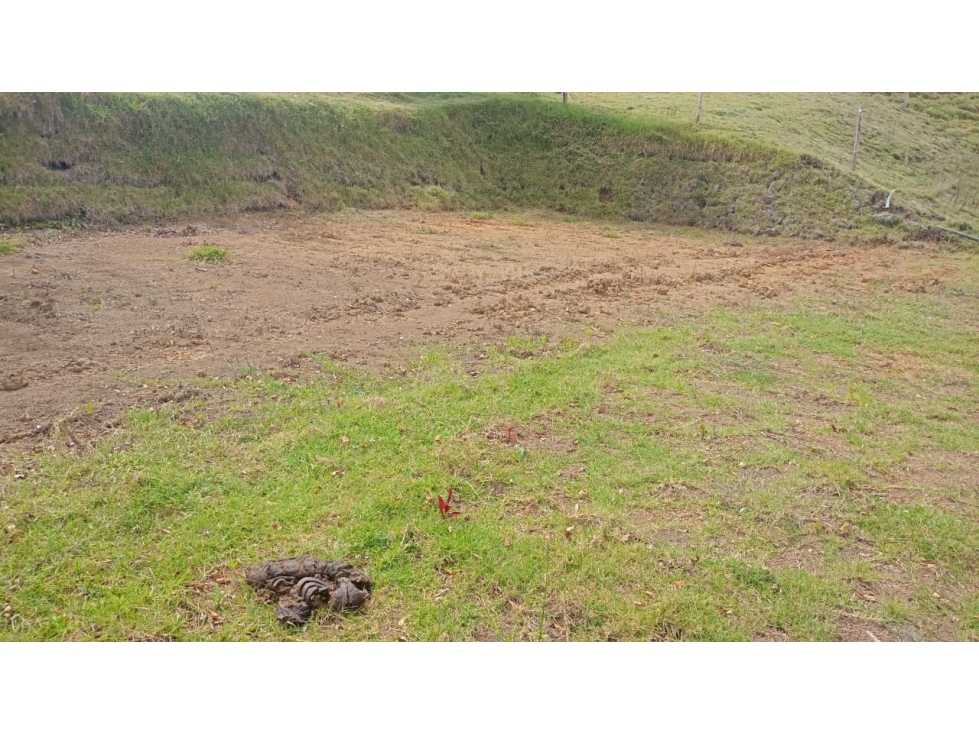VENDO LOTE EN GUARNE VEREDA LA MEJIA — foto 3