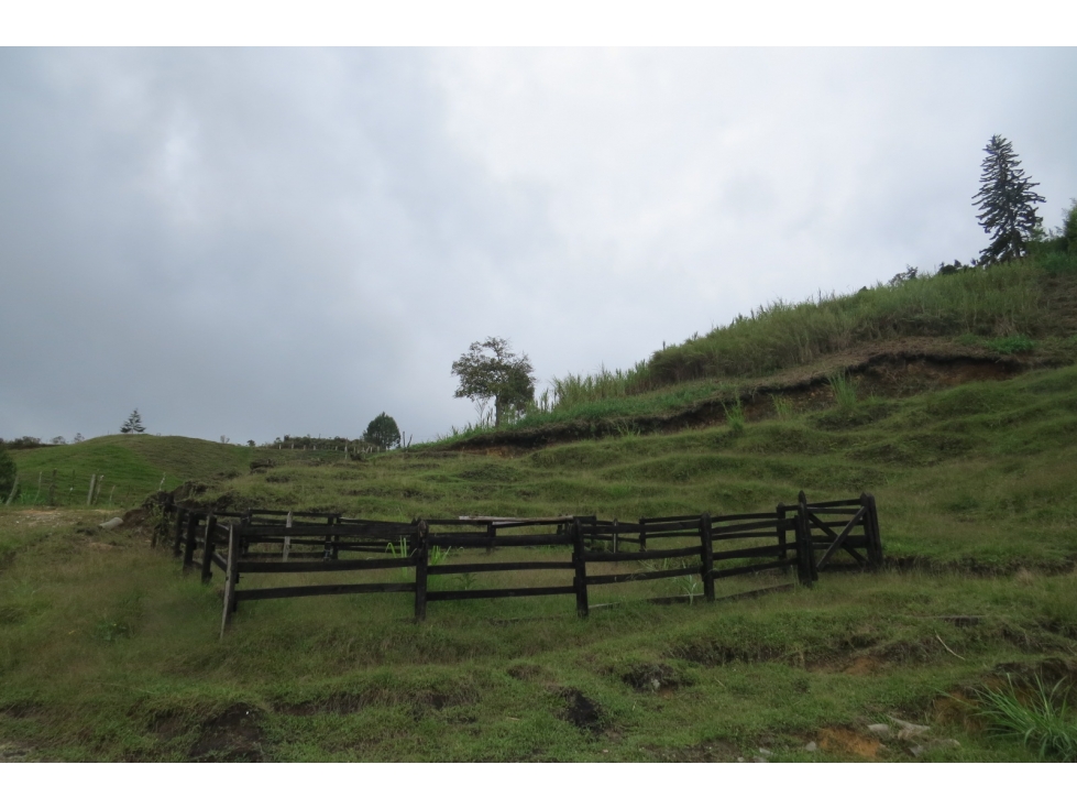 VENTA FINCA LOMA EL BARRO ENTRE GUARNE Y GIRARDOTA — foto 4