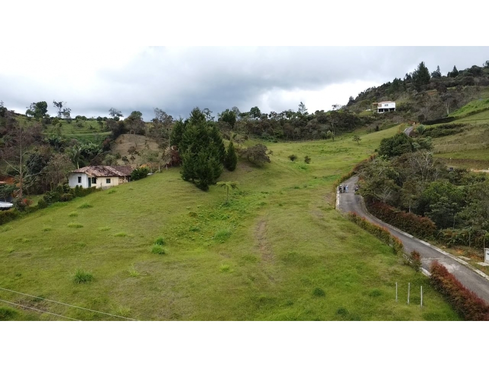 SE VENDEN ESPECTACULARES LOTES EN GUSRNEVEREDA LA MOSQUITA — foto 2