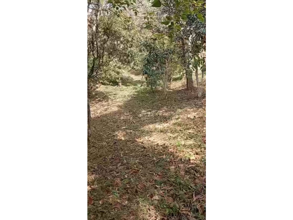 7 LOTES EN VENTA EN COPACABANA ANTIOQUIA — foto 3
