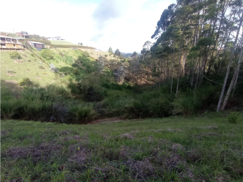 LOTE EN VENTA VEREDA ALTO DE LA COMPAÑÍA, SAN VICENTE FERRER, ANT. — foto 3