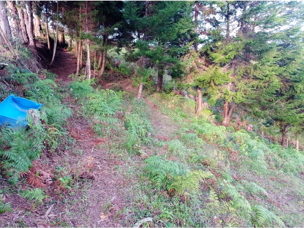 LOTE EN VENTA VEREDA ALTO DE LA COMPAÑÍA, SAN VICENTE FERRER. — foto 3