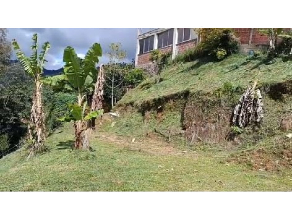 LOTE EN BARBOSA, SECTOR MOLINO VIEJO — foto 6