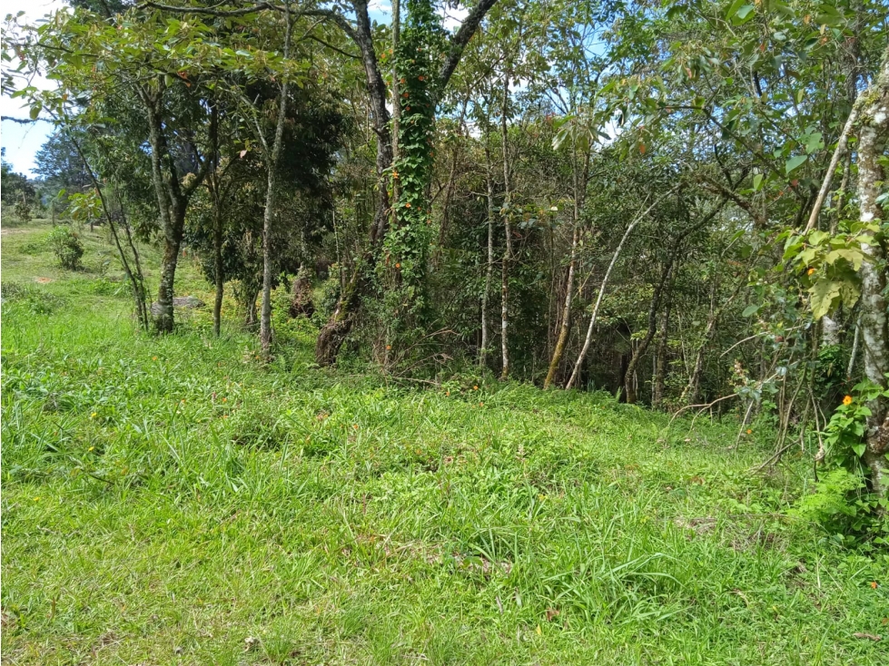 VENDO LOTE EN GUARNE — foto 3