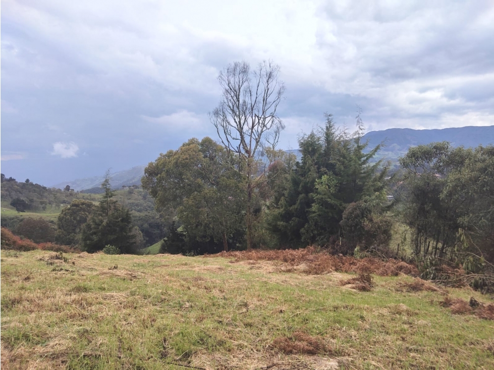 VENTA DE LOTE EN SAN FELIX VEREDA CUARTAS A 40 MM DE MEDELLIN — foto 3