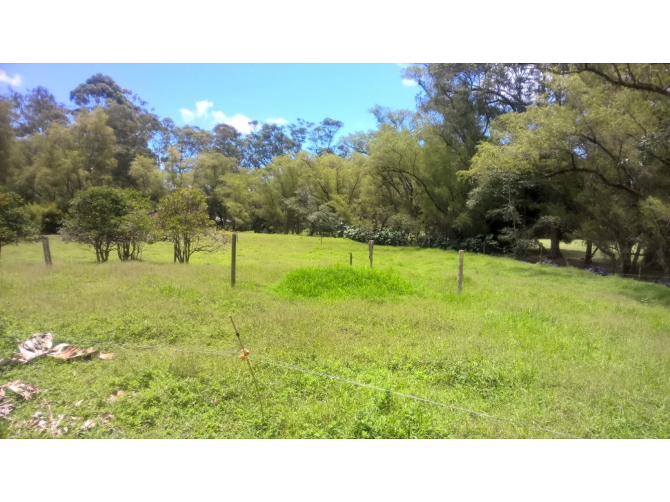 LOTE CAMPESTRE 4.855.98 m² VEGAS DE GUADALCANAL Llanogrande-Rionegro — foto 5