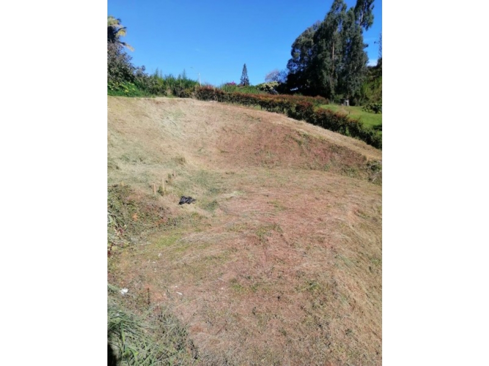 VENTA DE LOTE EN EL CARMEN DE VIBORAL - 3