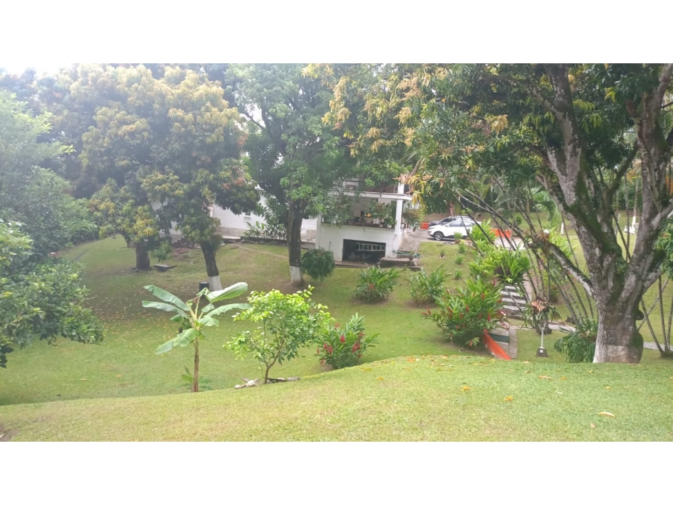 VENDO FINCA EN SAN JERONIMO SECTOR EL HATO