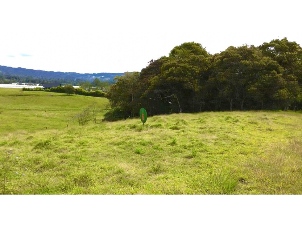 "OPORTUNIDAD" LOTE CAMPESTRE EN VENTA EN LA CEJA — foto 5